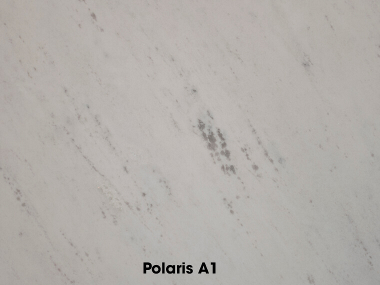Polaris A1